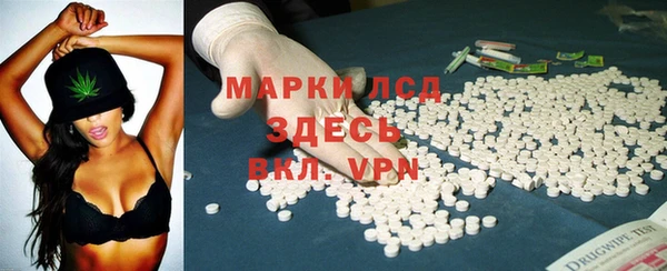 apvp Алзамай