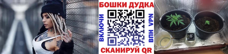 Бошки марихуана конопля Щигры